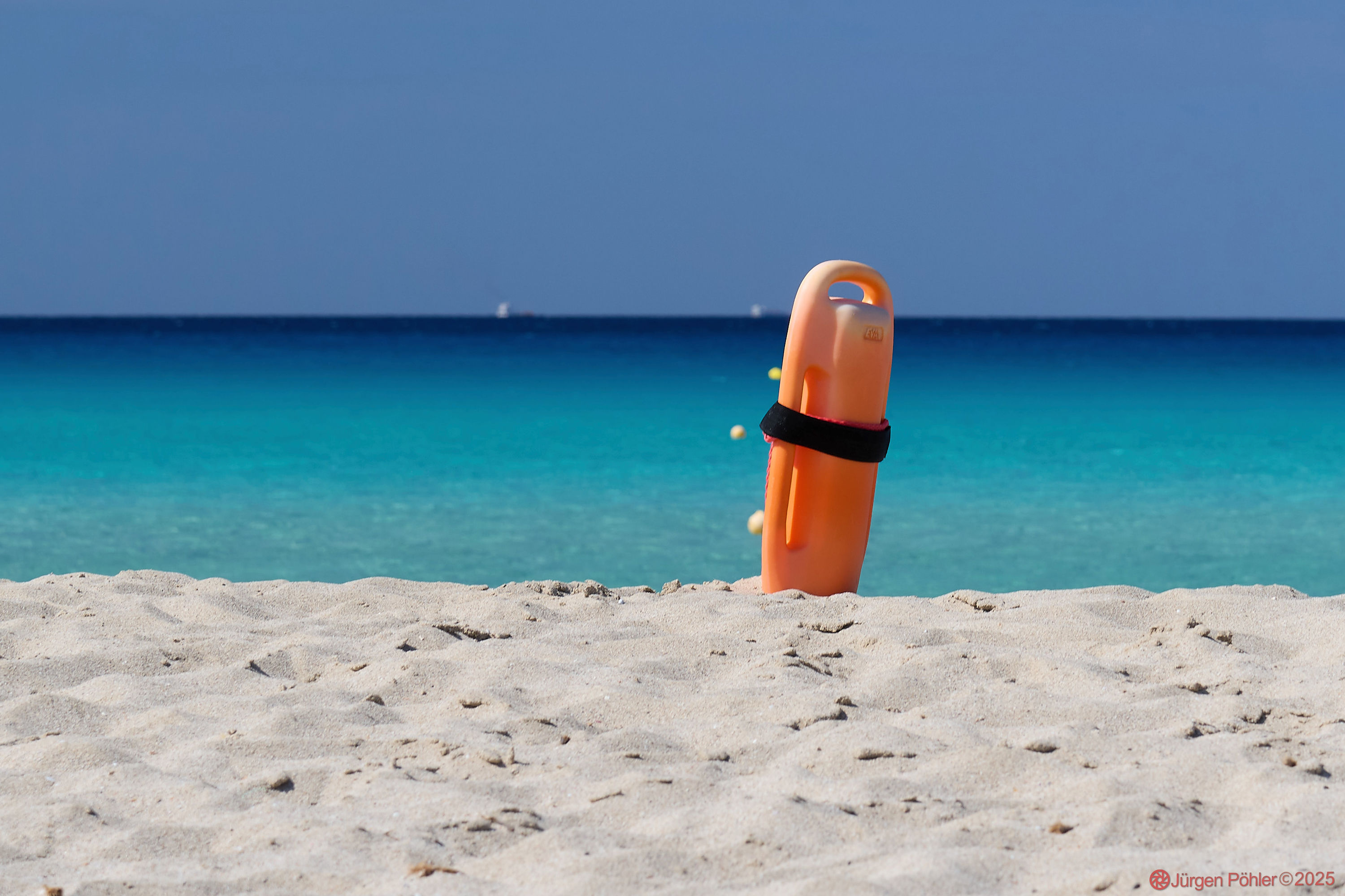 20240909 NIKON D500 101143